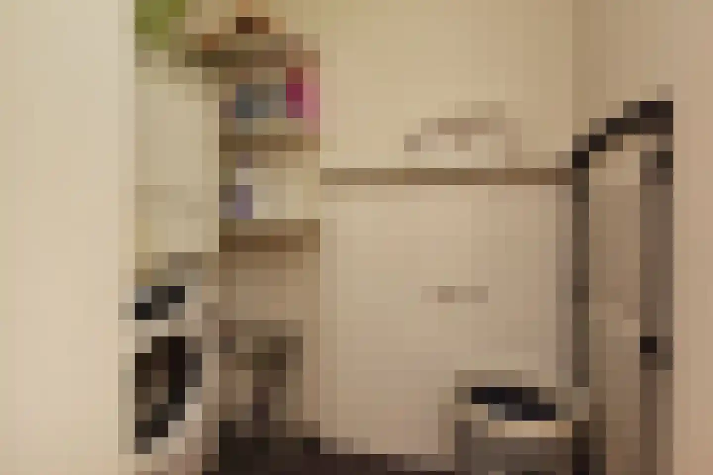 Schansbaan 179 Zoetermeer thumbnail 8