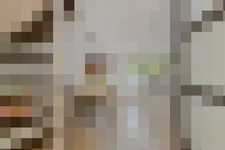 Schansbaan 81 Zoetermeer thumbnail 11