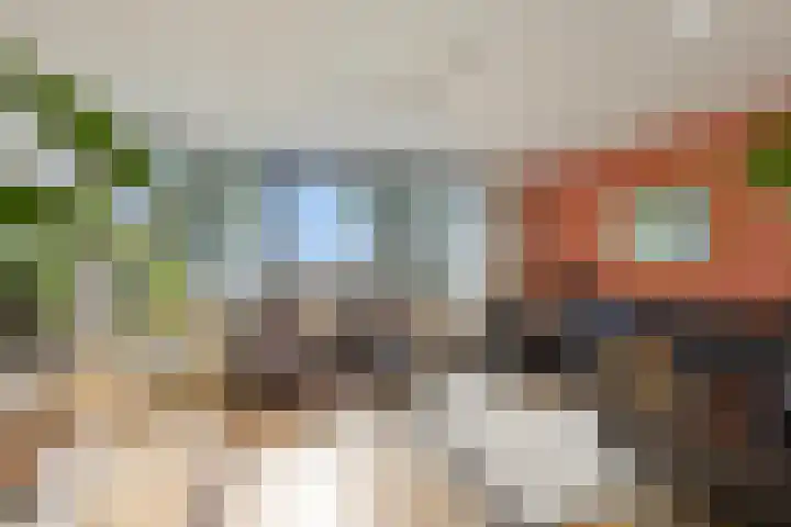 Schansbaan 81 Zoetermeer thumbnail 12