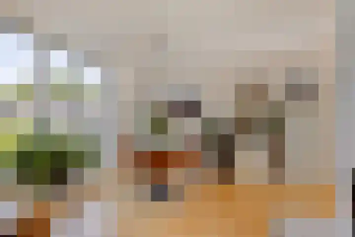 Schansbaan 81 Zoetermeer thumbnail 16
