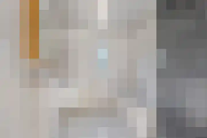 Schansbaan 81 Zoetermeer thumbnail 21