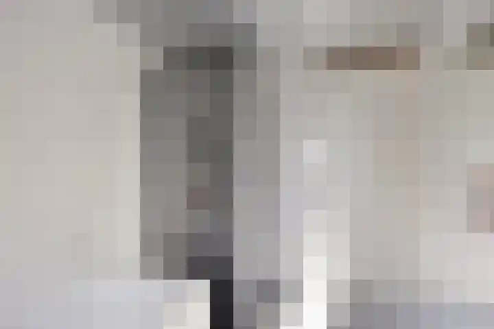 Schansbaan 81 Zoetermeer thumbnail 22