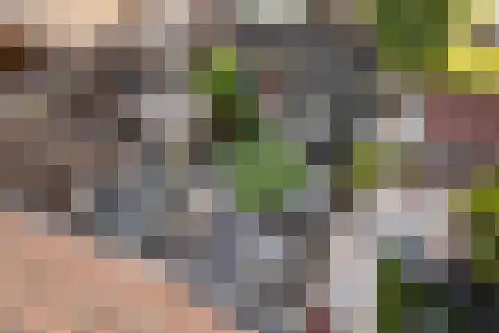 Schansbaan 81 Zoetermeer thumbnail 32