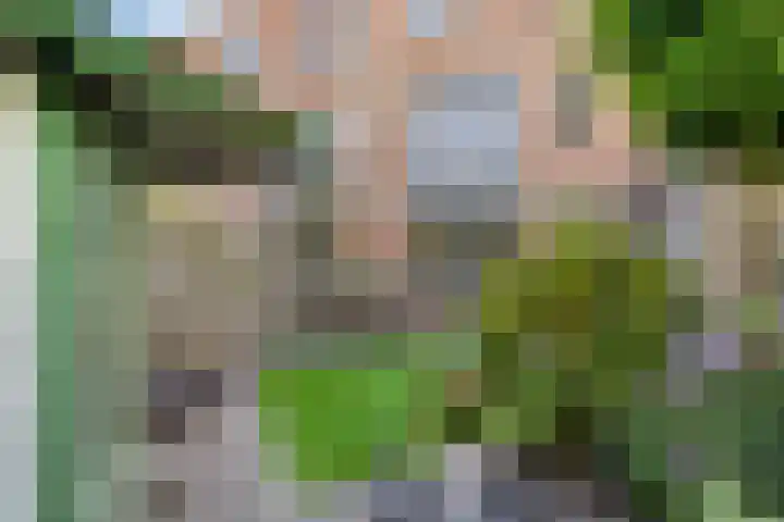 Schansbaan 81 Zoetermeer thumbnail 35