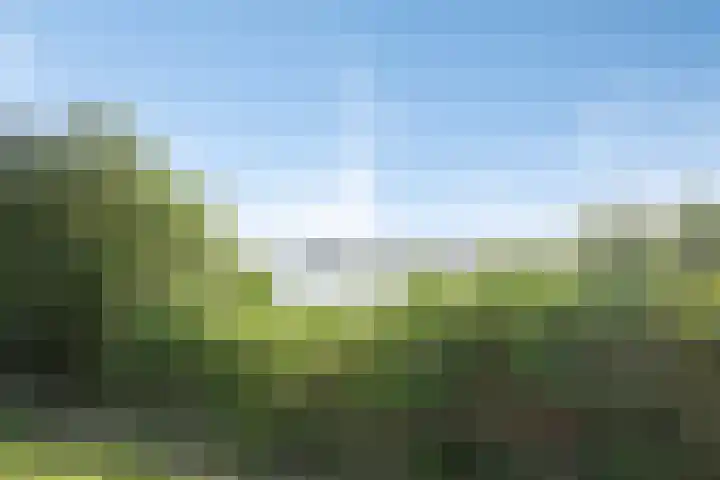 Schansbaan 81 Zoetermeer thumbnail 43