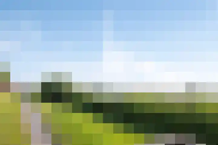 Schansbaan 81 Zoetermeer thumbnail 44