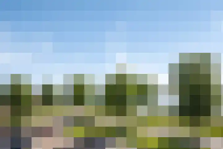 Schansbaan 81 Zoetermeer thumbnail 45