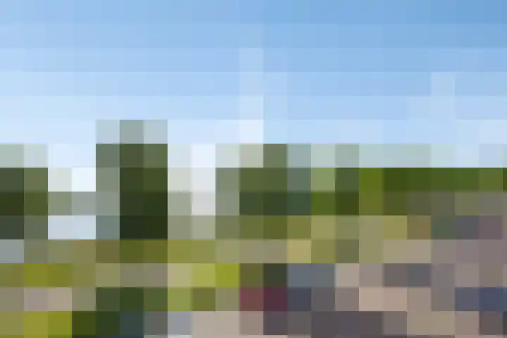 Schansbaan 81 Zoetermeer thumbnail 46