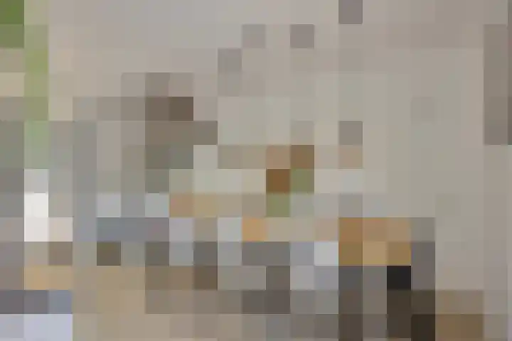 Schansbaan 81 Zoetermeer thumbnail 6