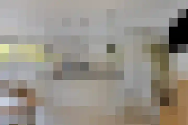 Schansbaan 81 Zoetermeer thumbnail 8