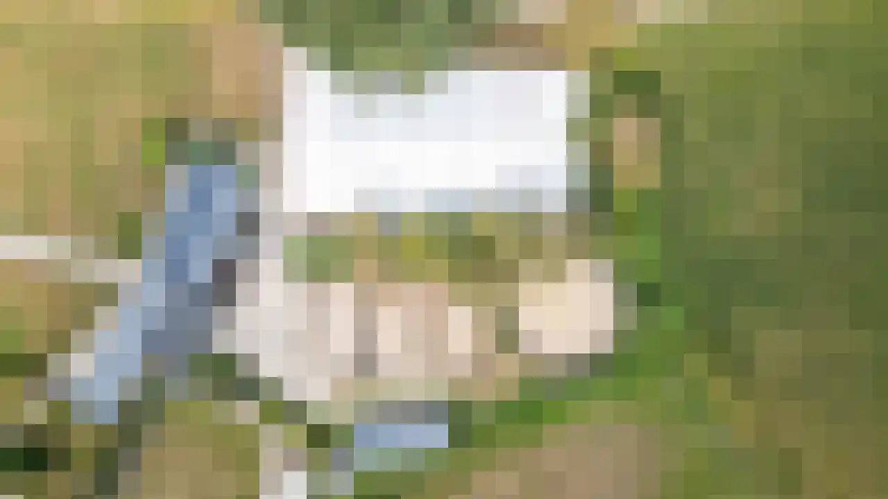 Schansberg 25 Roosteren thumbnail 7