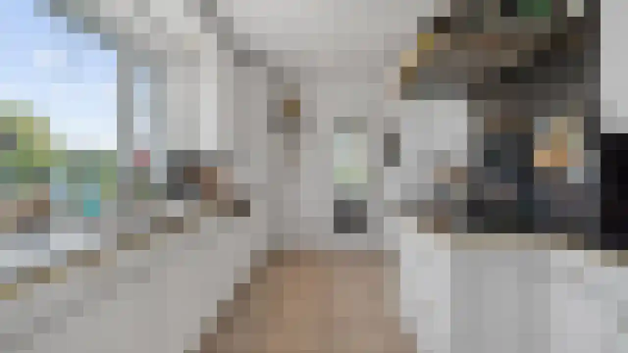 Schansberg 25 Roosteren thumbnail 8