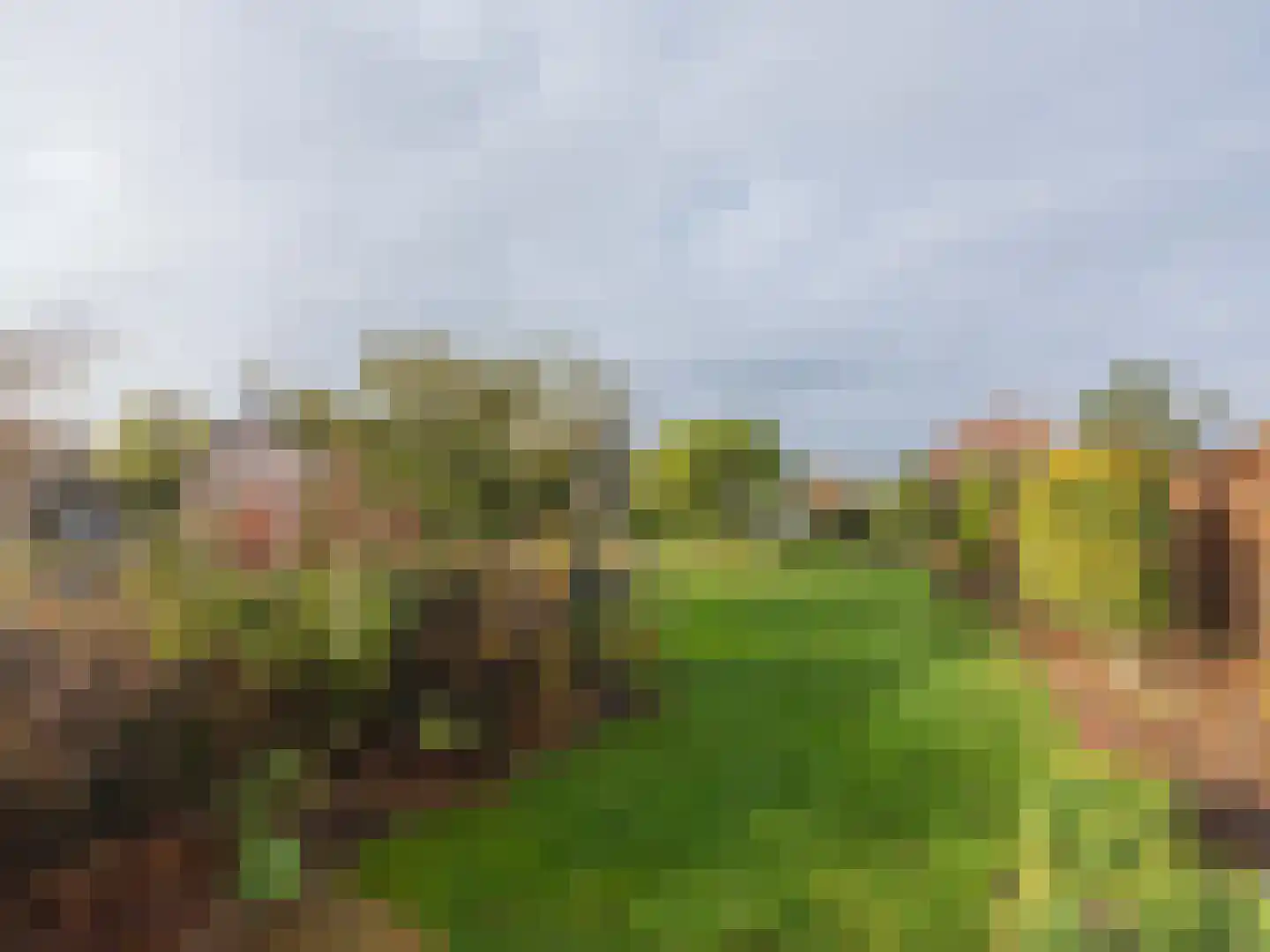 Schansberg 3680 Maaseik Roosteren thumbnail 33