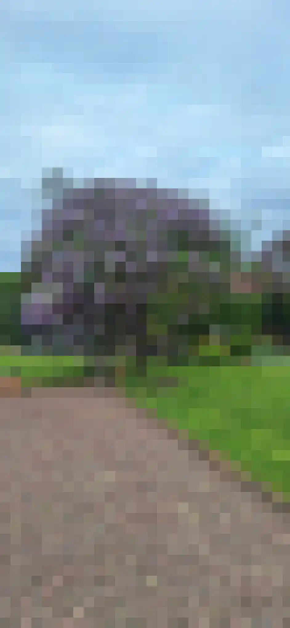 Schansberg 3680 Maaseik Roosteren thumbnail 43
