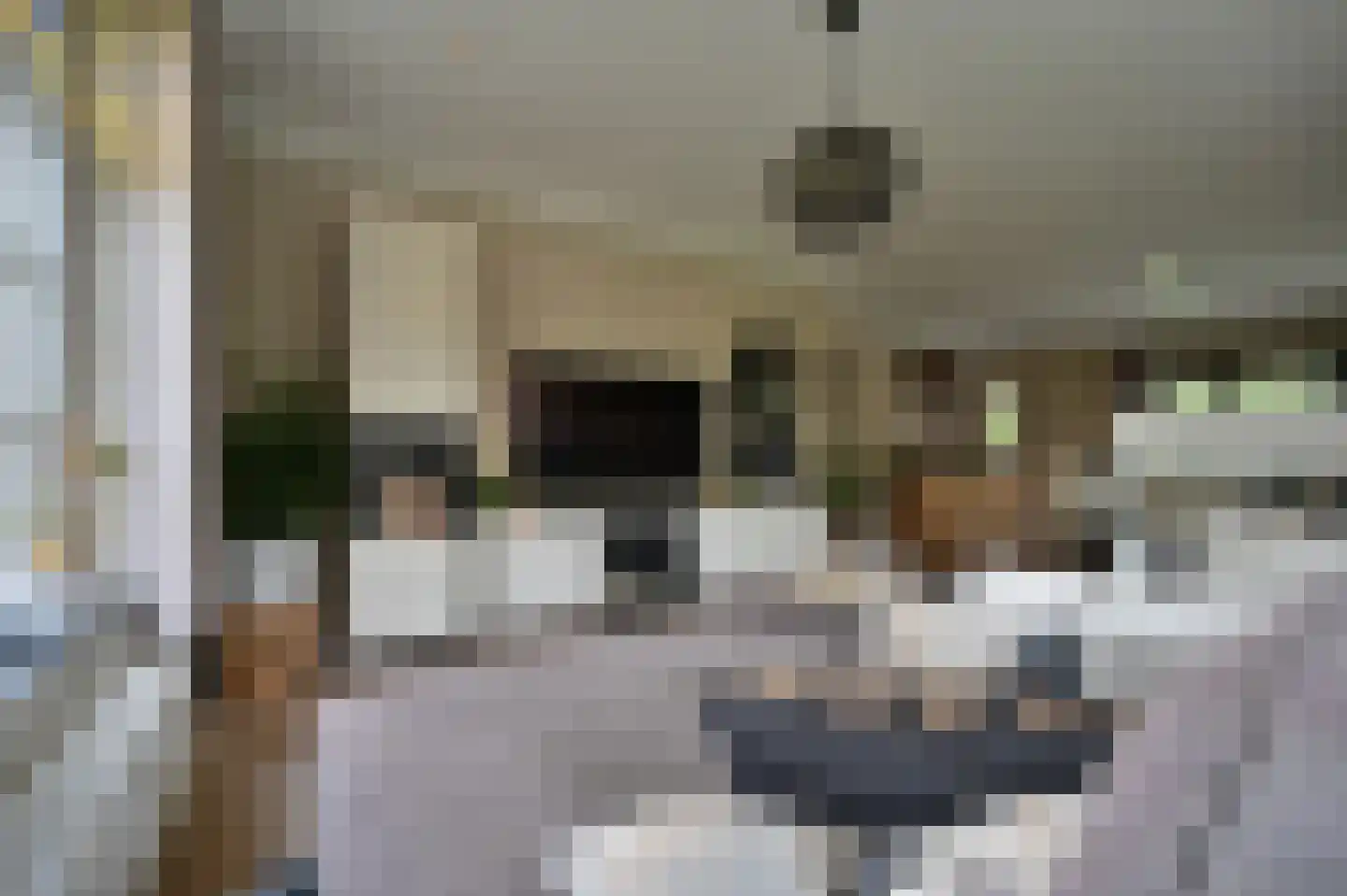 Schansberg 5 Roosteren thumbnail 10