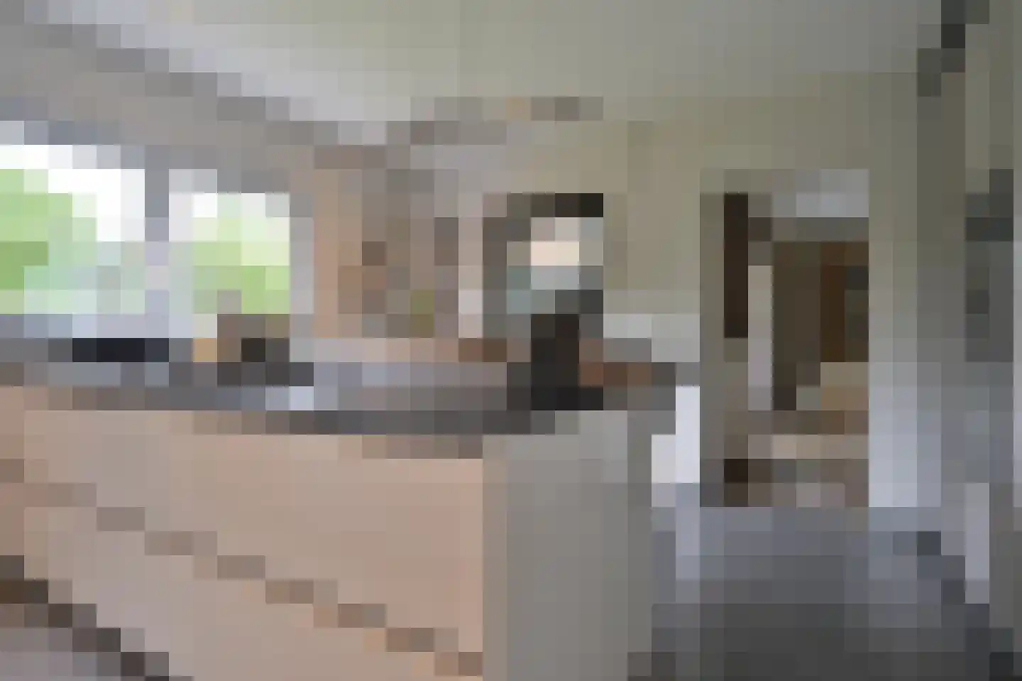 Schansberg 5 Roosteren thumbnail 16