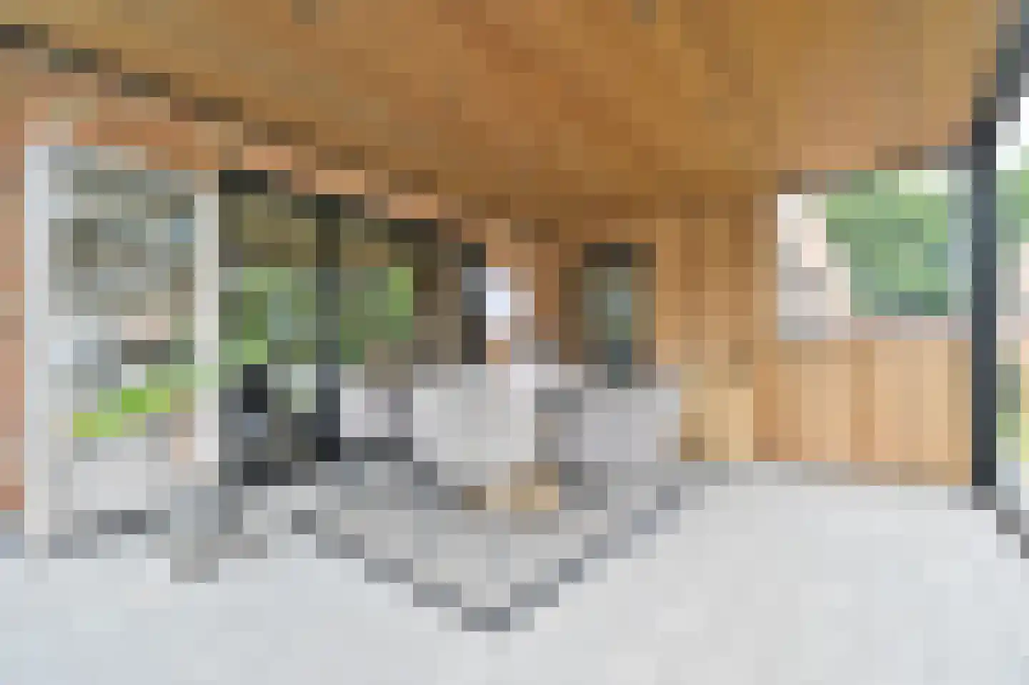Schansberg 5 Roosteren thumbnail 18
