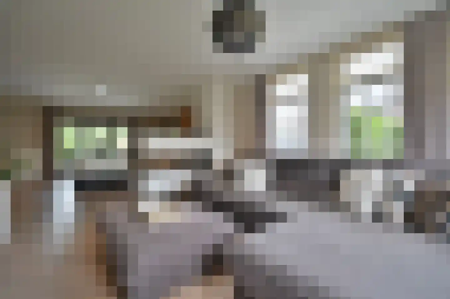 Schansberg 5 Roosteren thumbnail 7