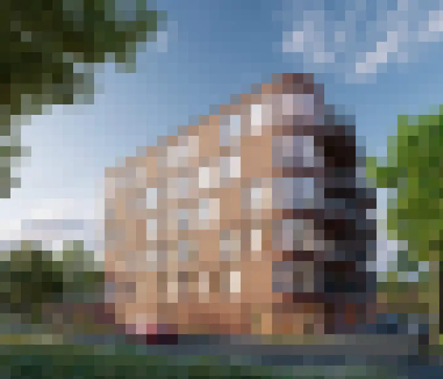 Schansdijk 3 Zevenbergen thumbnail 13