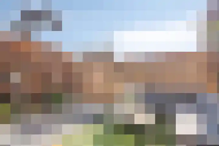 Schansdijk 3 Zevenbergen thumbnail 6