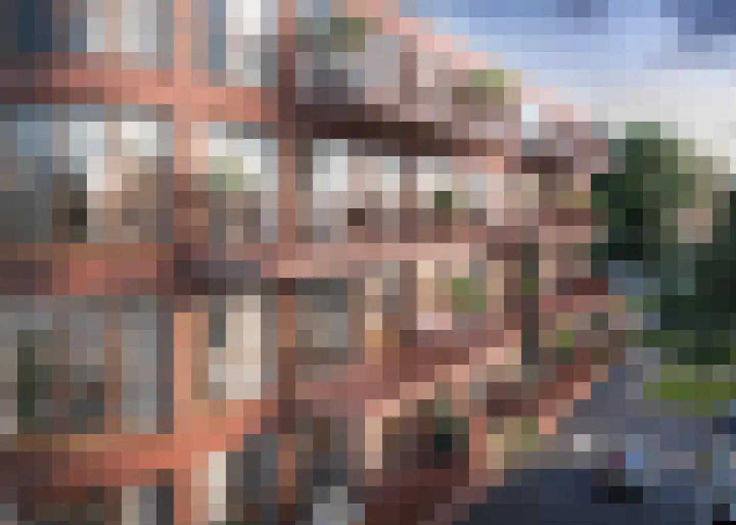 Schansdijk 3 Zevenbergen thumbnail 6