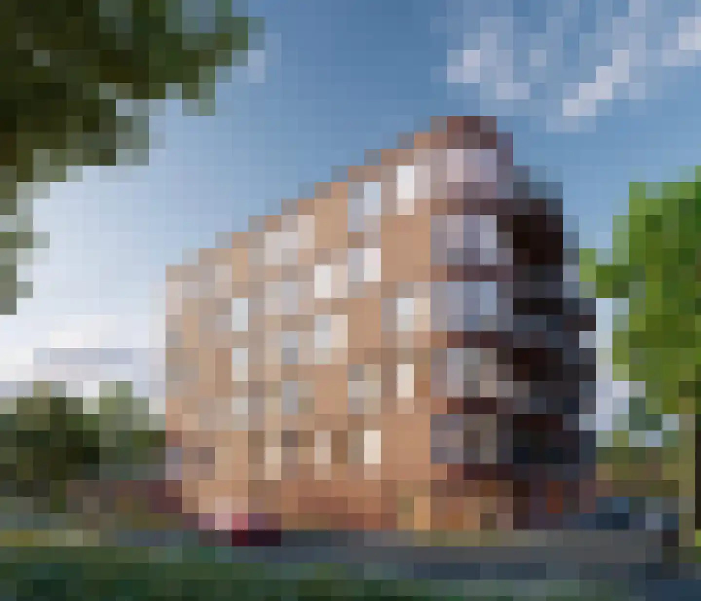 Schansdijk 3 Zevenbergen thumbnail 7