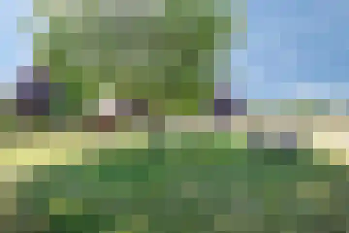 Schanseweg 3 Heeswijk-Dinther thumbnail 34