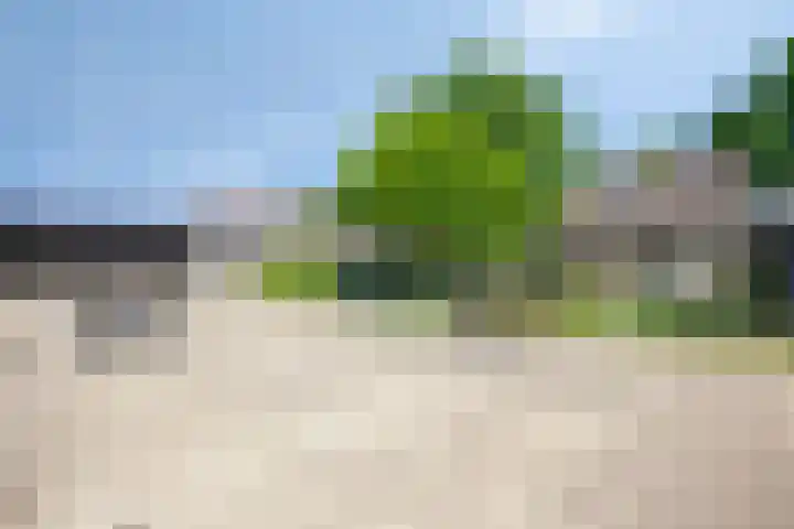 Schanseweg 3 Heeswijk-Dinther thumbnail 35
