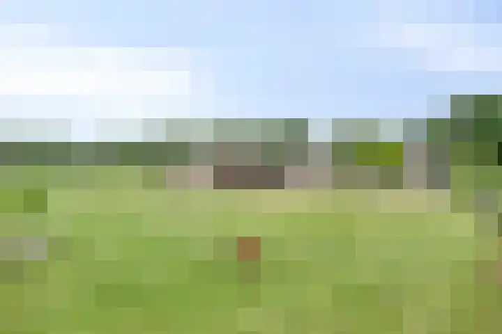 Schanseweg 3 Heeswijk-Dinther thumbnail 4