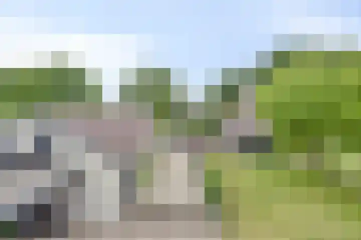 Schanseweg 3 Heeswijk-Dinther thumbnail 42