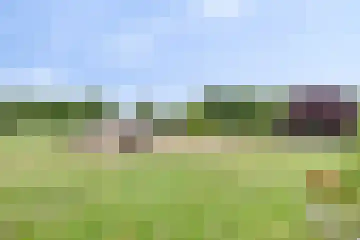 Schanseweg 3 Heeswijk-Dinther thumbnail 68