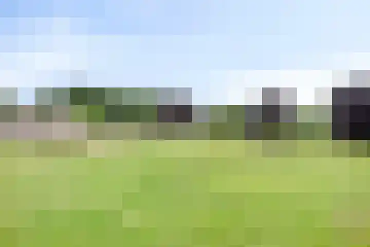 Schanseweg 3 Heeswijk-Dinther thumbnail 69