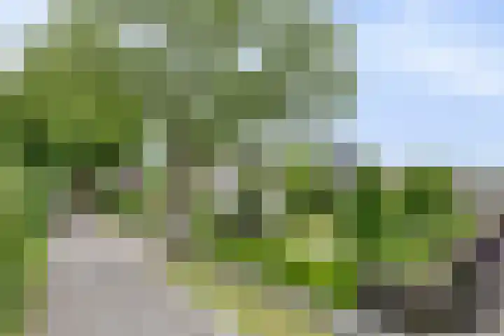 Schanseweg 3 Heeswijk-Dinther thumbnail 82