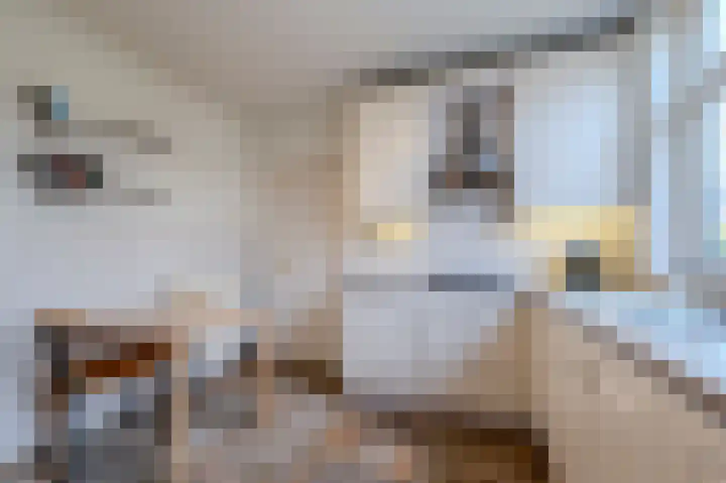 Schansoord 1 A Erp thumbnail 20