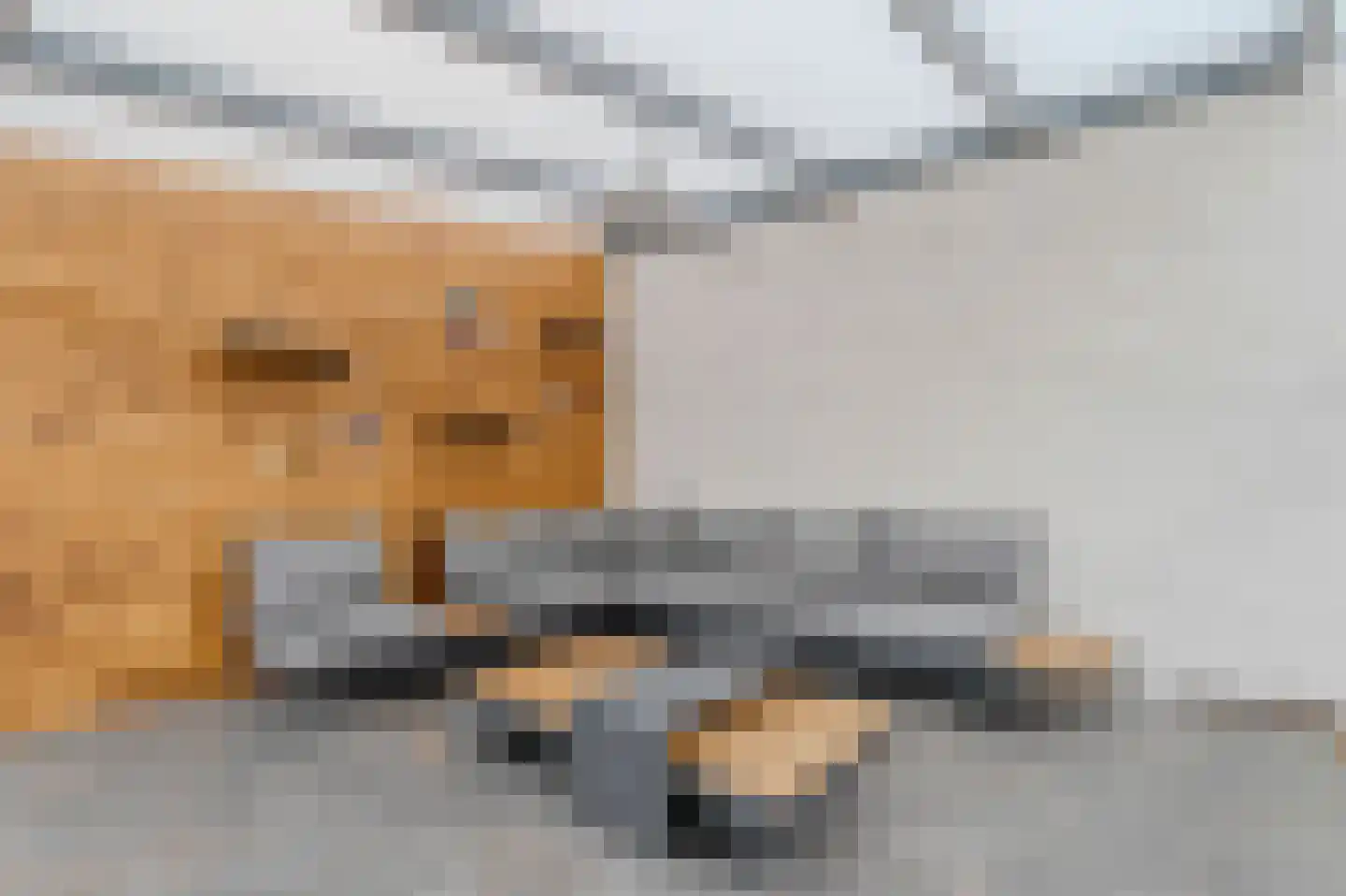 Schansoord 1 A Erp thumbnail 48