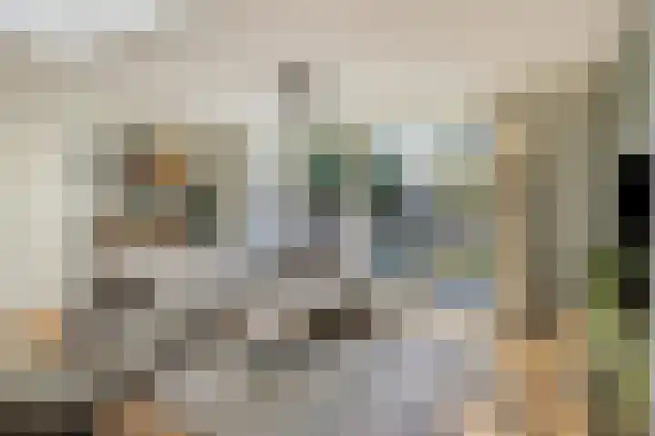 Schansoord 34 Erp thumbnail 16