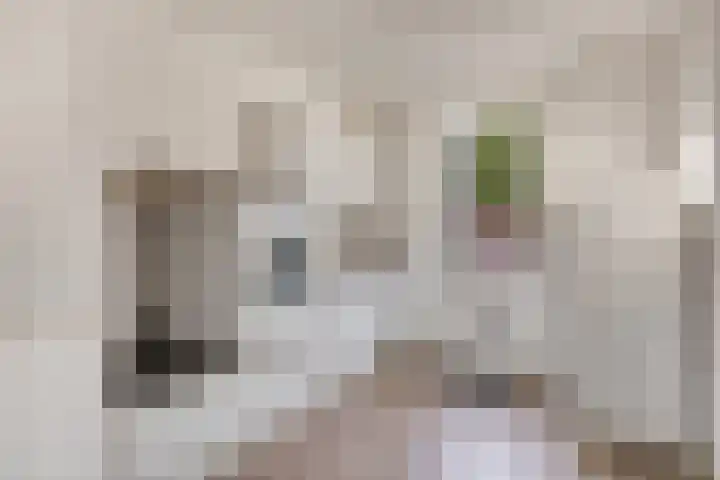 Schansoord 34 Erp thumbnail 21