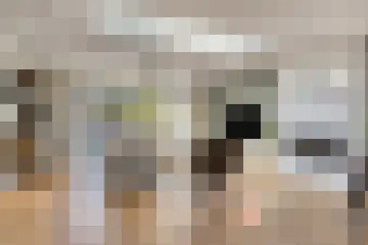 Schansoord 34 Erp thumbnail 4