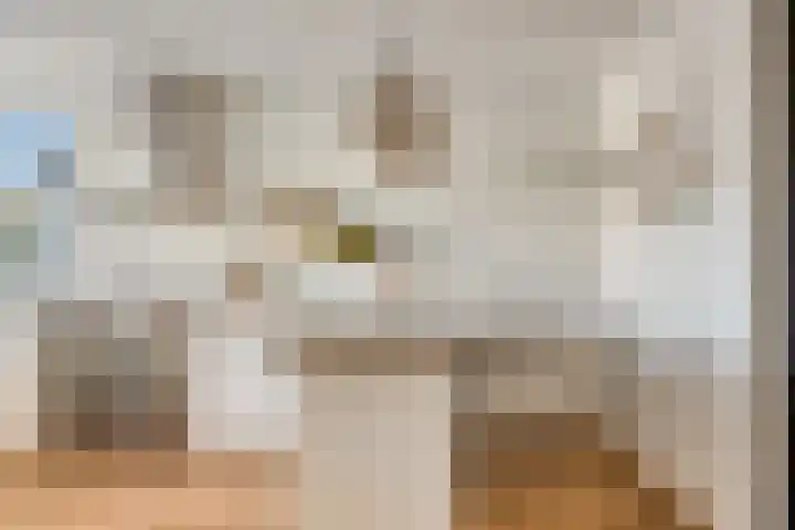 Schansoord 34 Erp thumbnail 8