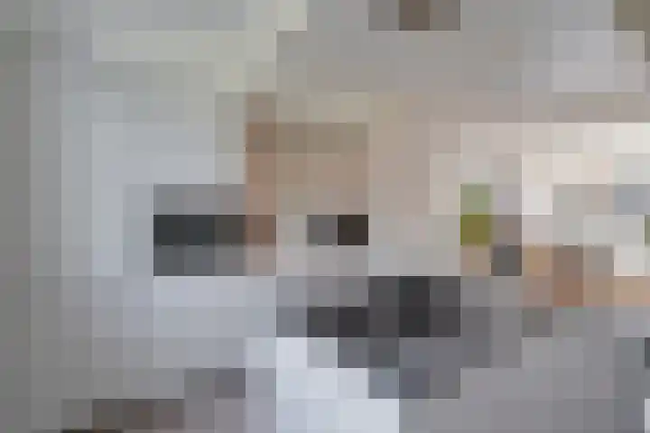 Schanspark 6 Woudenberg thumbnail 16