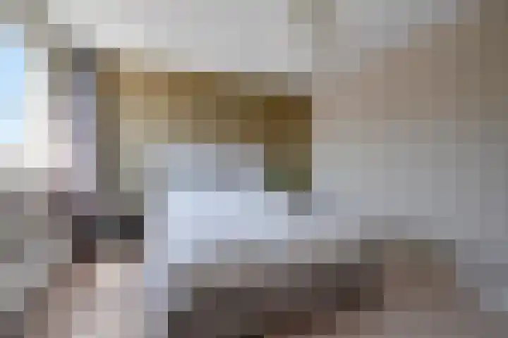 Schanspark 6 Woudenberg thumbnail 20