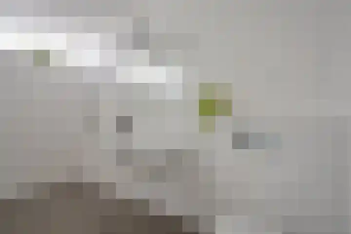 Schanspark 6 Woudenberg thumbnail 24