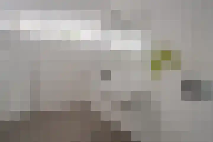 Schanspark 6 Woudenberg thumbnail 25