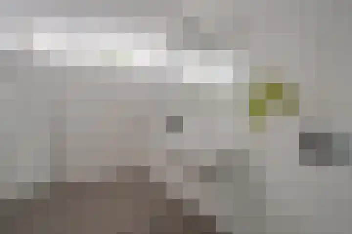 Schanspark 6 Woudenberg thumbnail 26