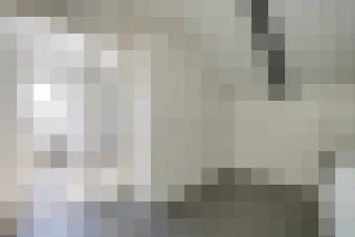 Schanspark 6 Woudenberg thumbnail 27