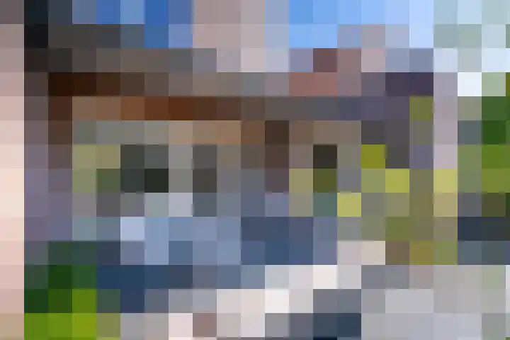 Schanspark 6 Woudenberg thumbnail 32