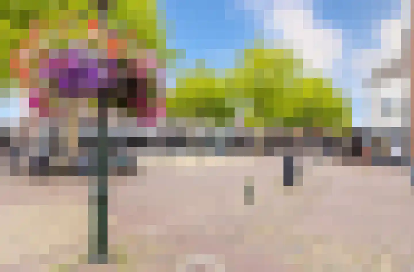 Schansplein 2 a Bunschoten-Spakenburg thumbnail 38