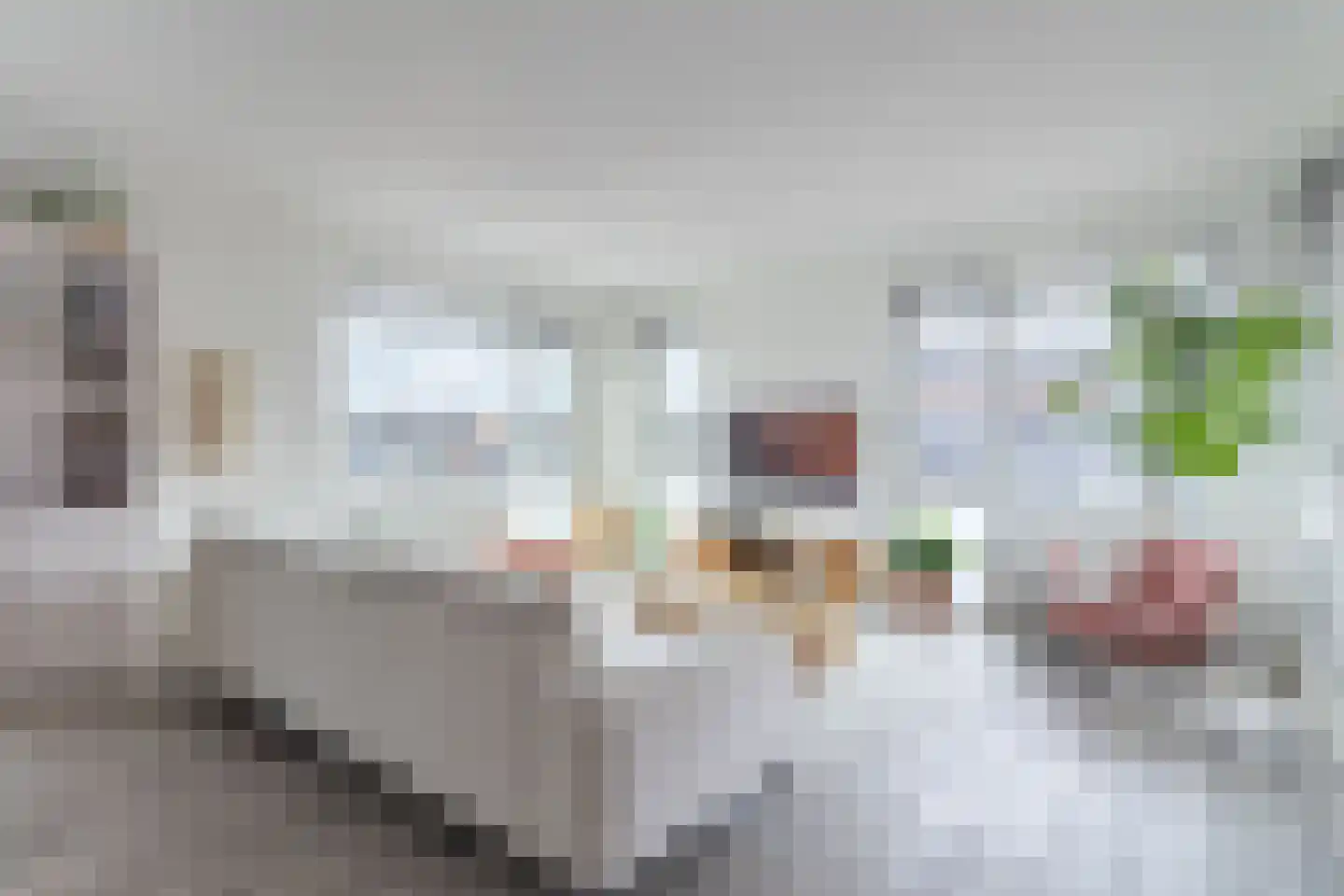 Schansplein 2 a Bunschoten-Spakenburg thumbnail 5