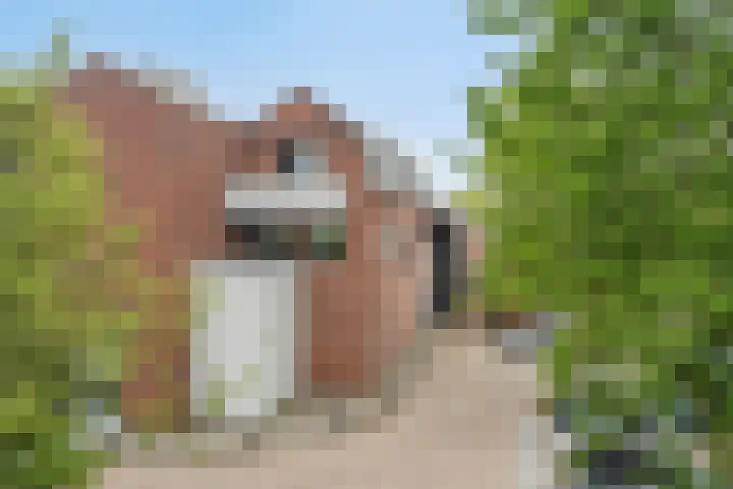 Schansplein 2 Bunschoten-Spakenburg thumbnail 40