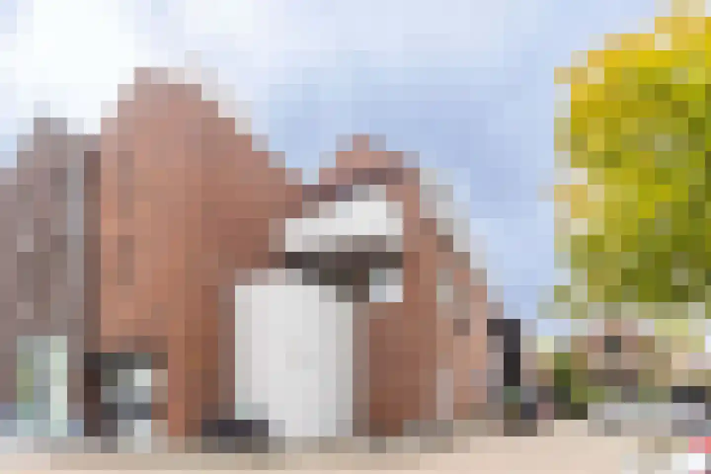 Schansplein 4 Bunschoten-Spakenburg thumbnail 4